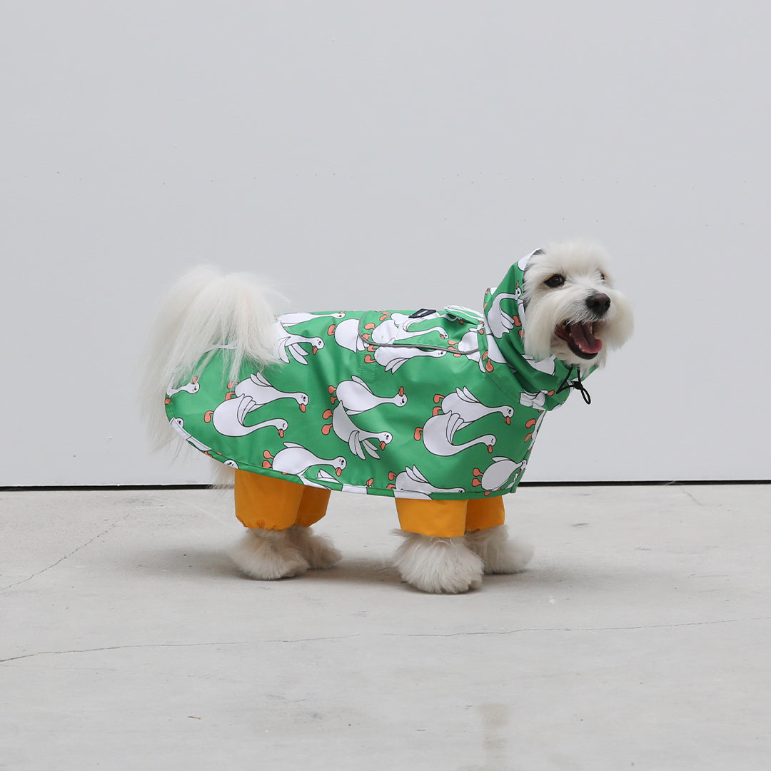 andblank® - Flying Duck Raincoat Jacket