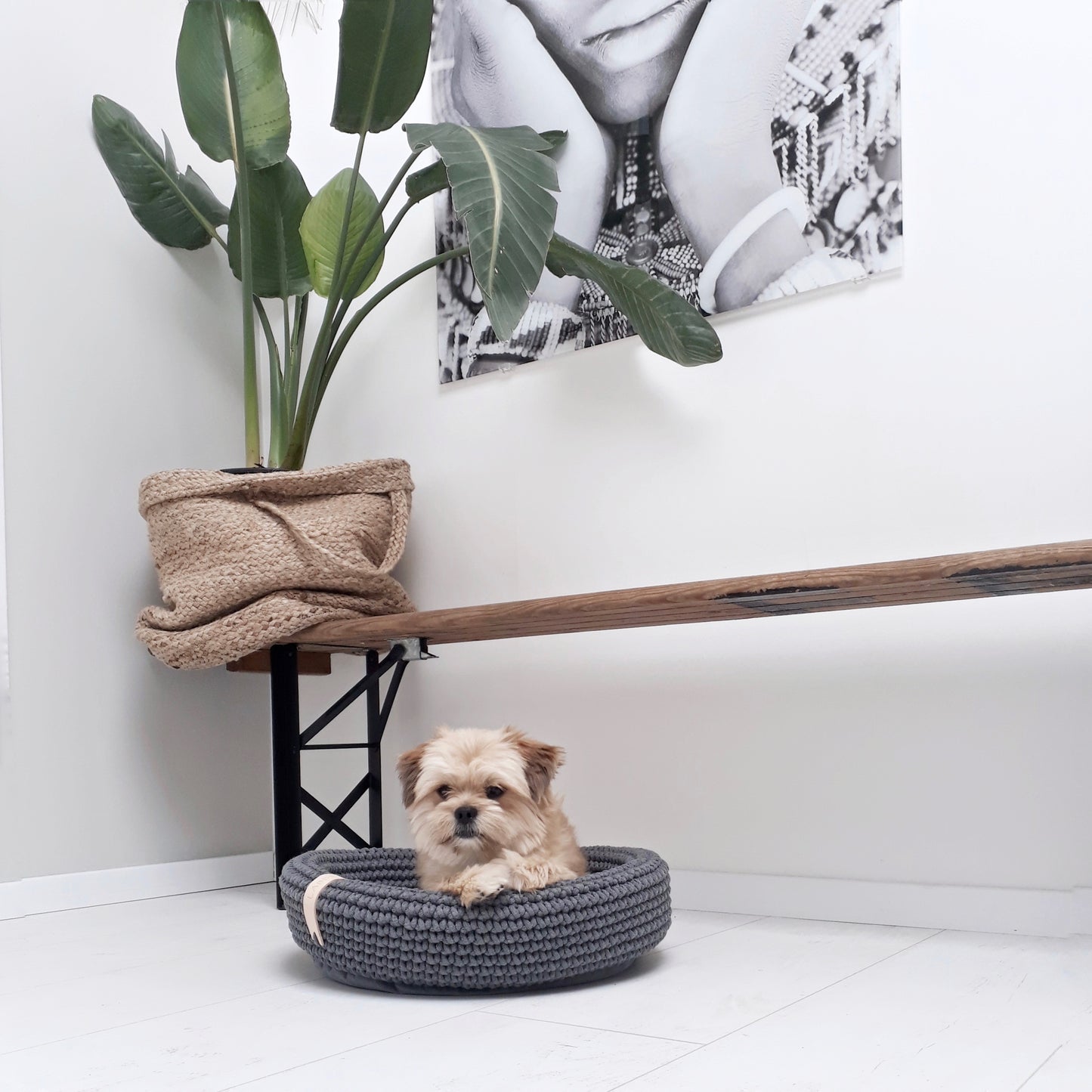 Labbvenn - Coco Dog Bed (Beige)