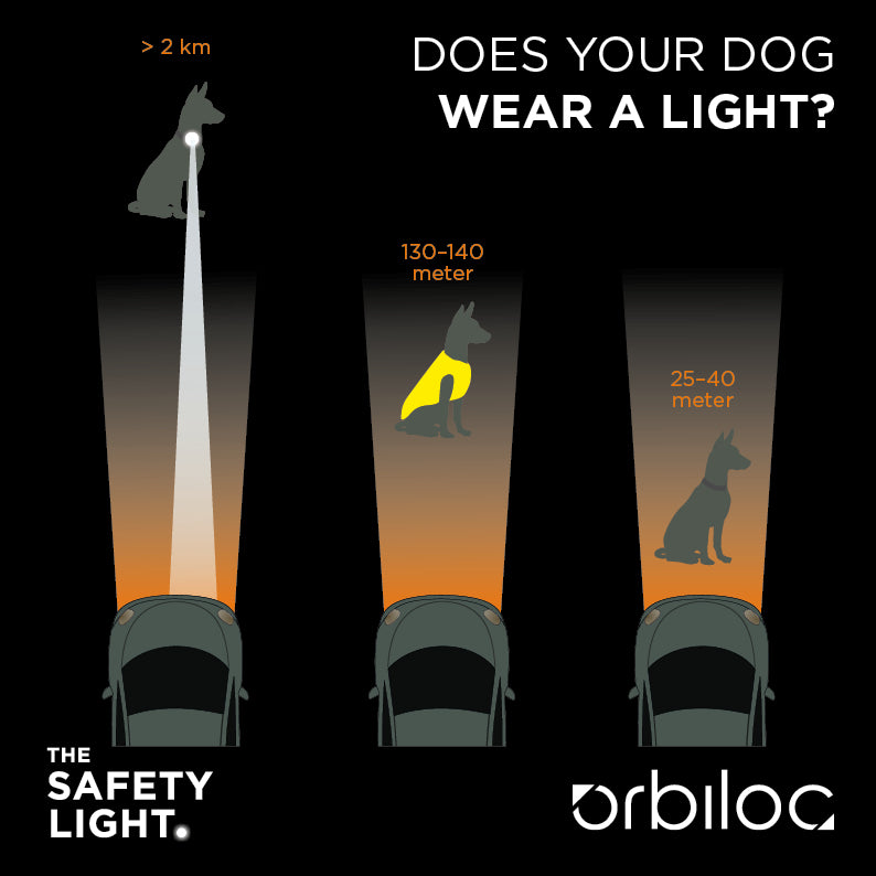 Orbiloc -  Dog Dual Safety Light (White)