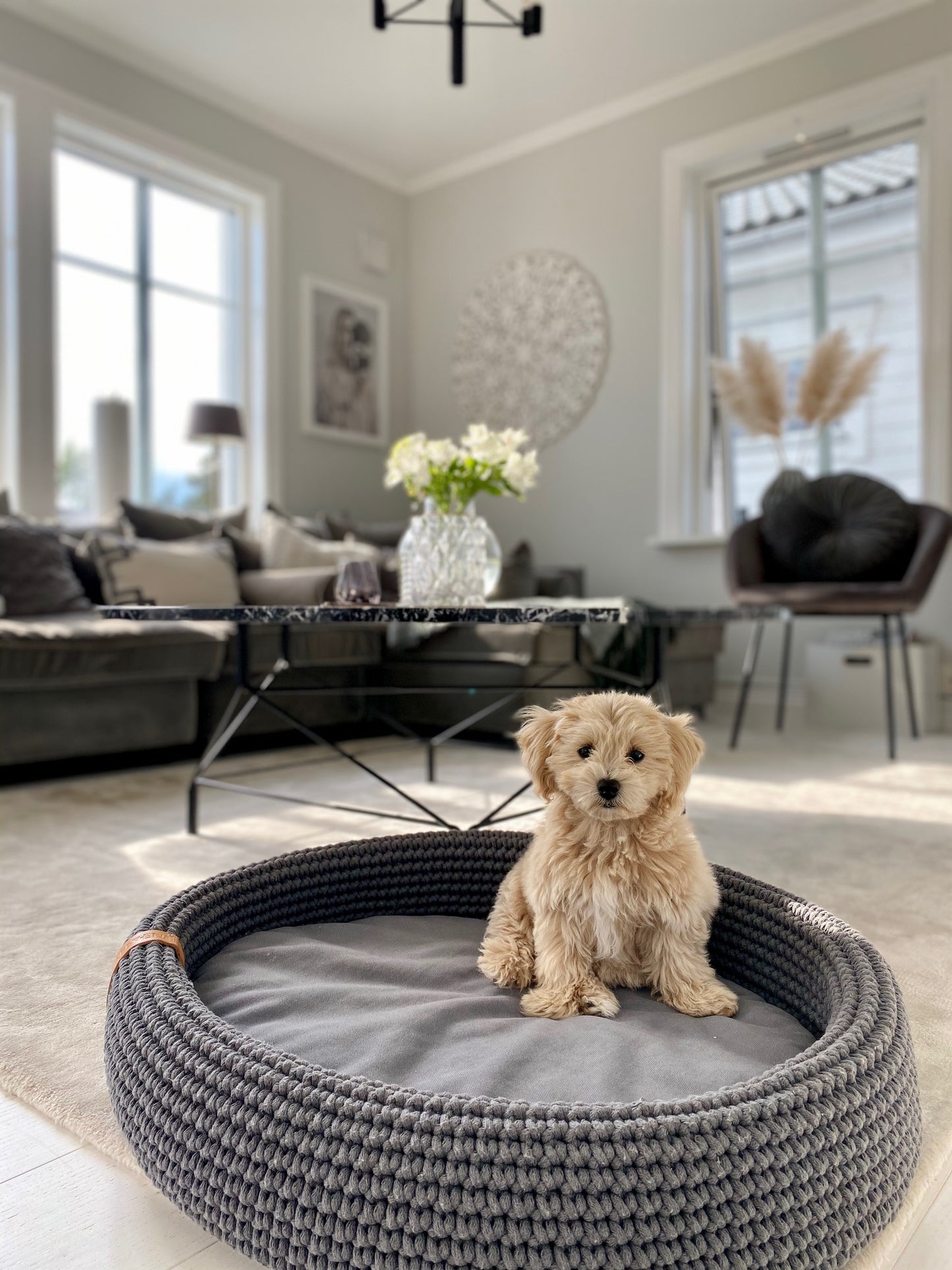 Labbvenn - Lukko Dog Bed (Anthracite)