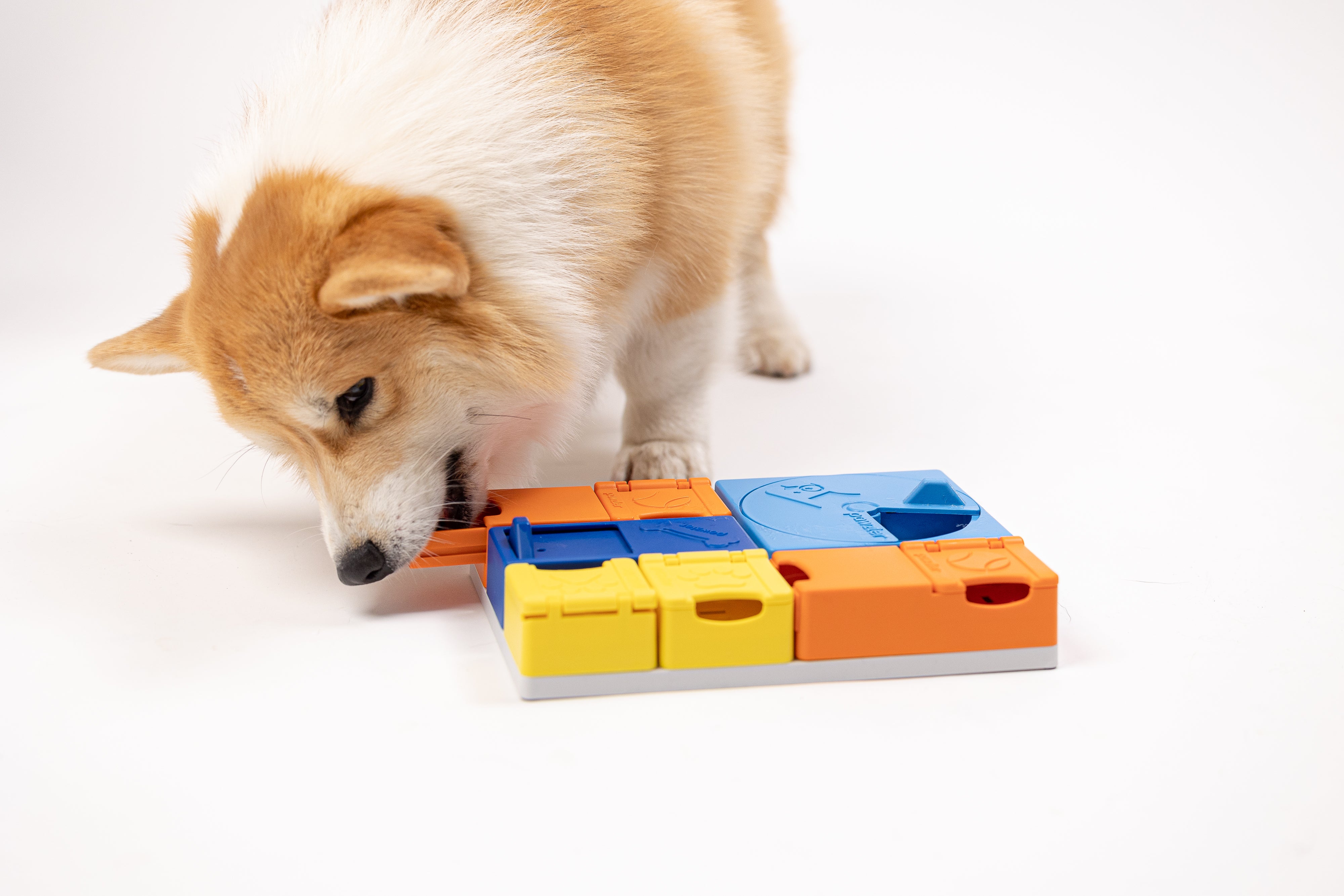 Dog puzzle hot sale toys petsmart