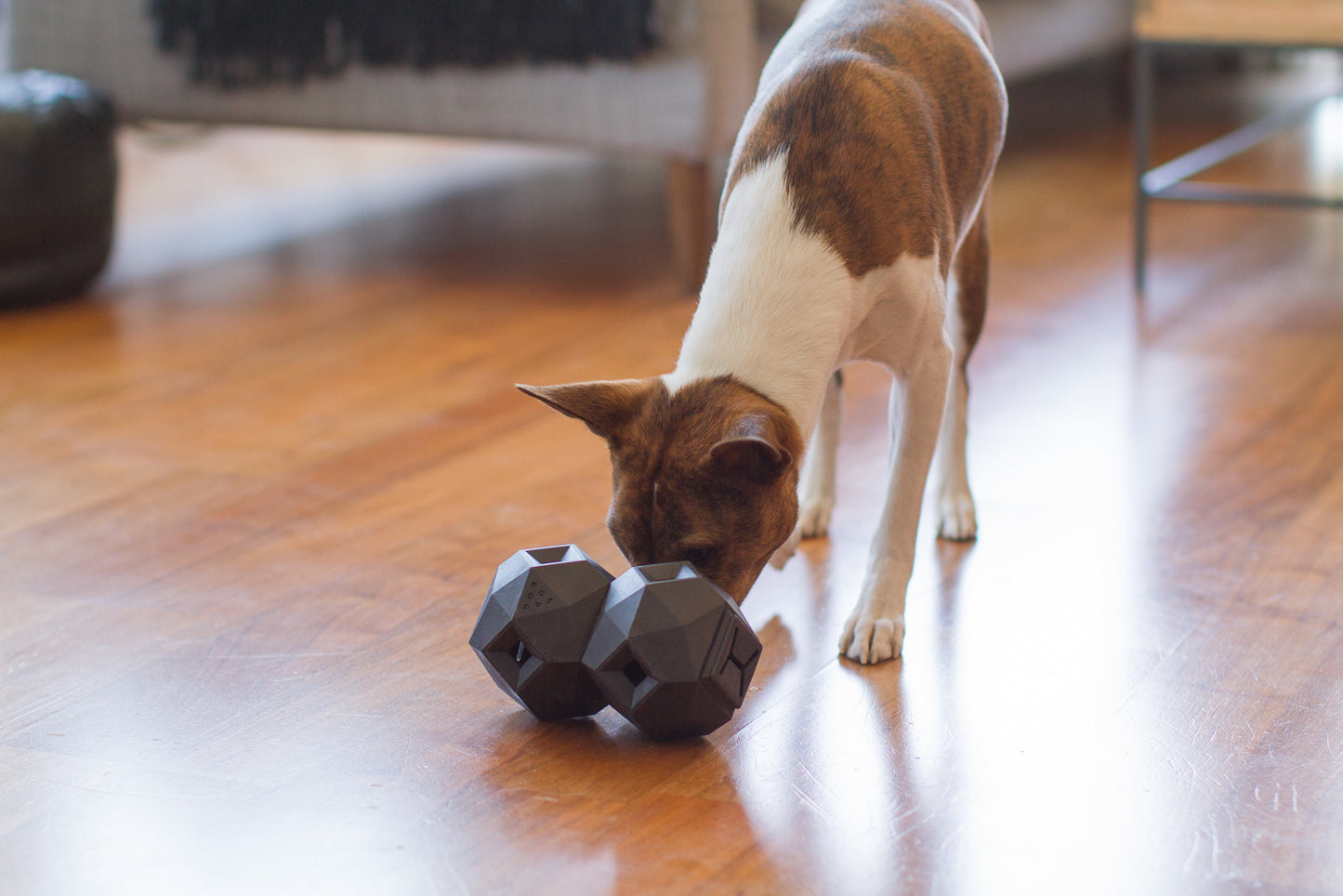 The Odin - Interactive Treat & Kibble Dispensing Toy (Slate Grey)