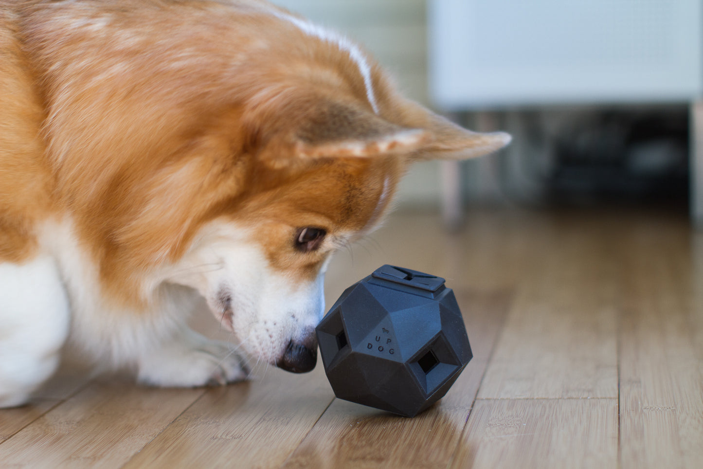 The Odin - Interactive Treat & Kibble Dispensing Toy (Slate Grey)