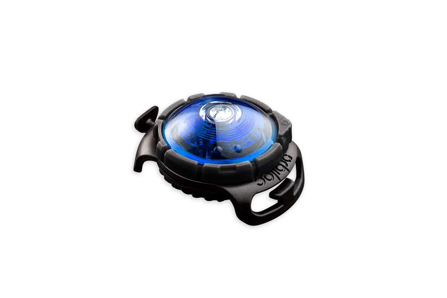 Orbiloc - Dog Dual Safety Light (Blue)