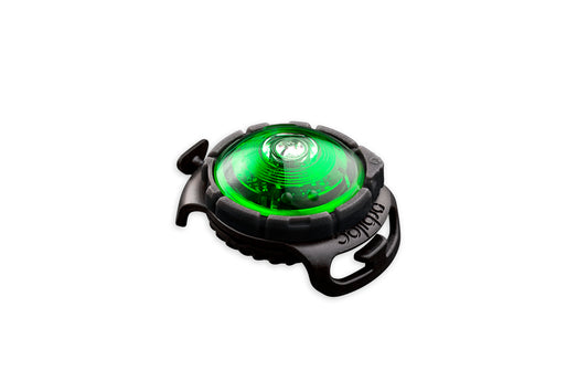 Orbiloc -  Dog Dual Safety Light (Green)