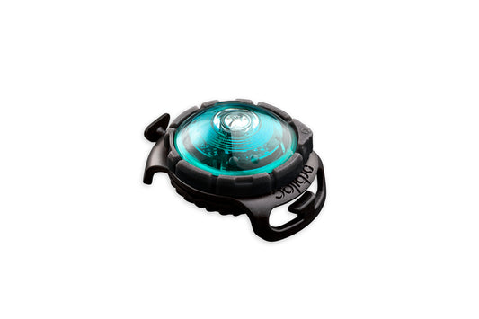 Orbiloc -  Dog Dual Safety Light (Turquoise)