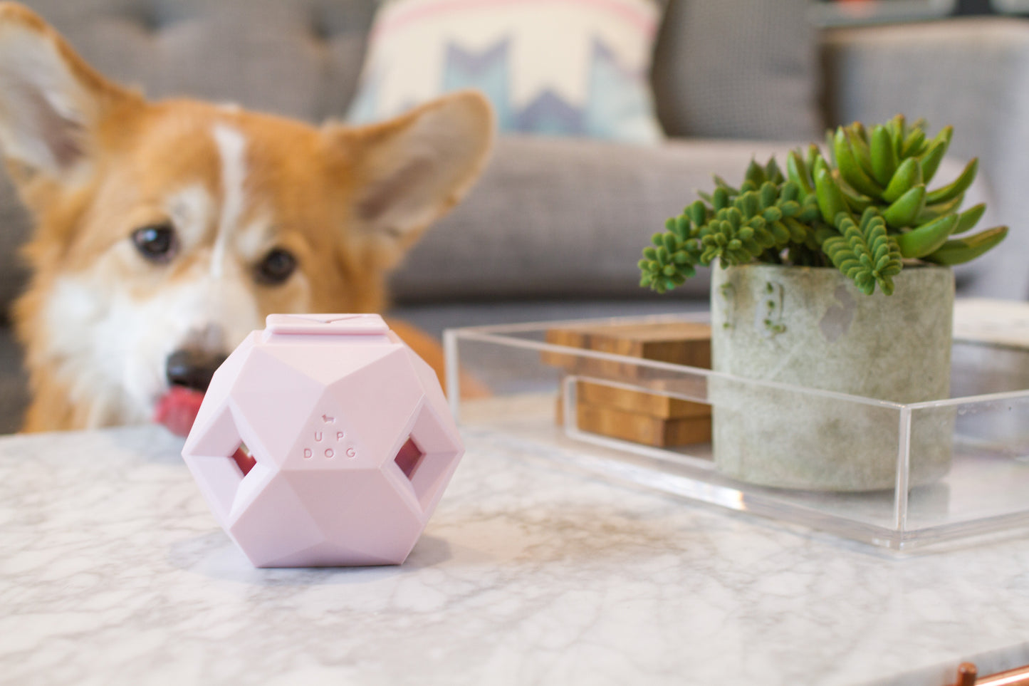 The Odin - Interactive Treat & Kibble Dispensing Toy (Rose Quartz)