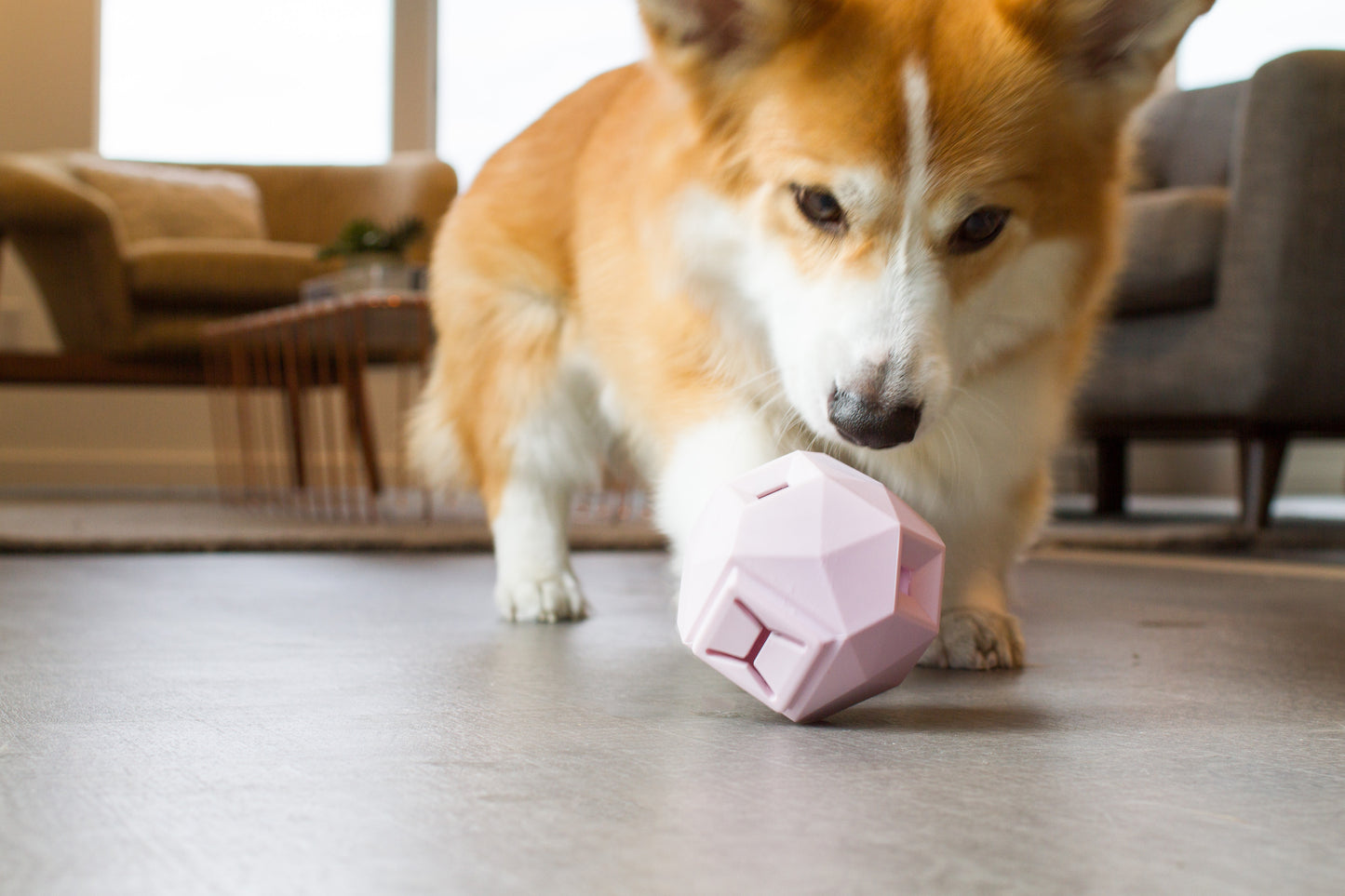 The Odin - Interactive Treat & Kibble Dispensing Toy (Rose Quartz)