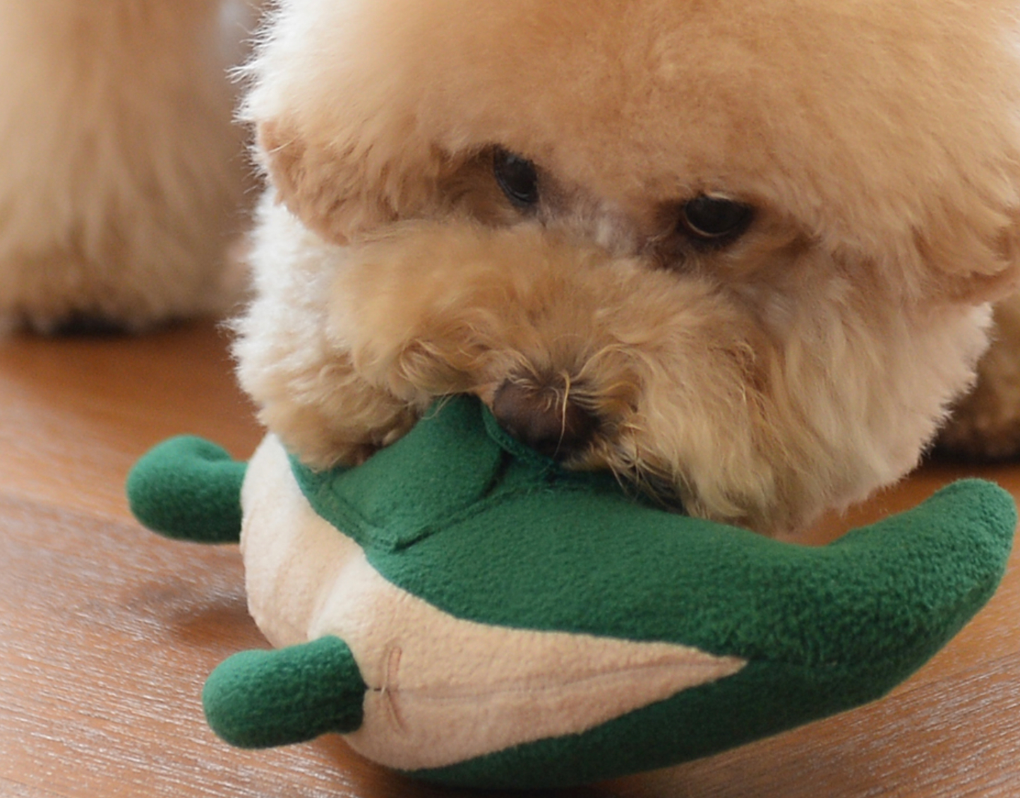 andblank® - Lazy Crocodile Nosework Toy