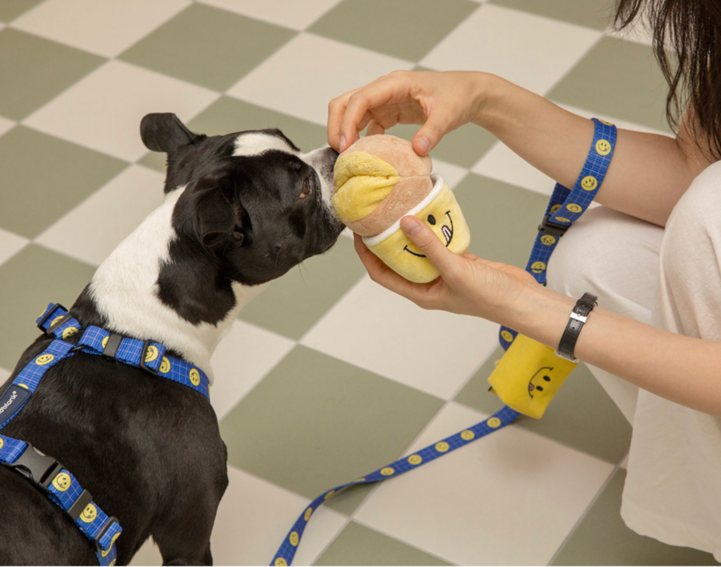 andblank® - [andblank® x Knotted] Donut Nosework Toy