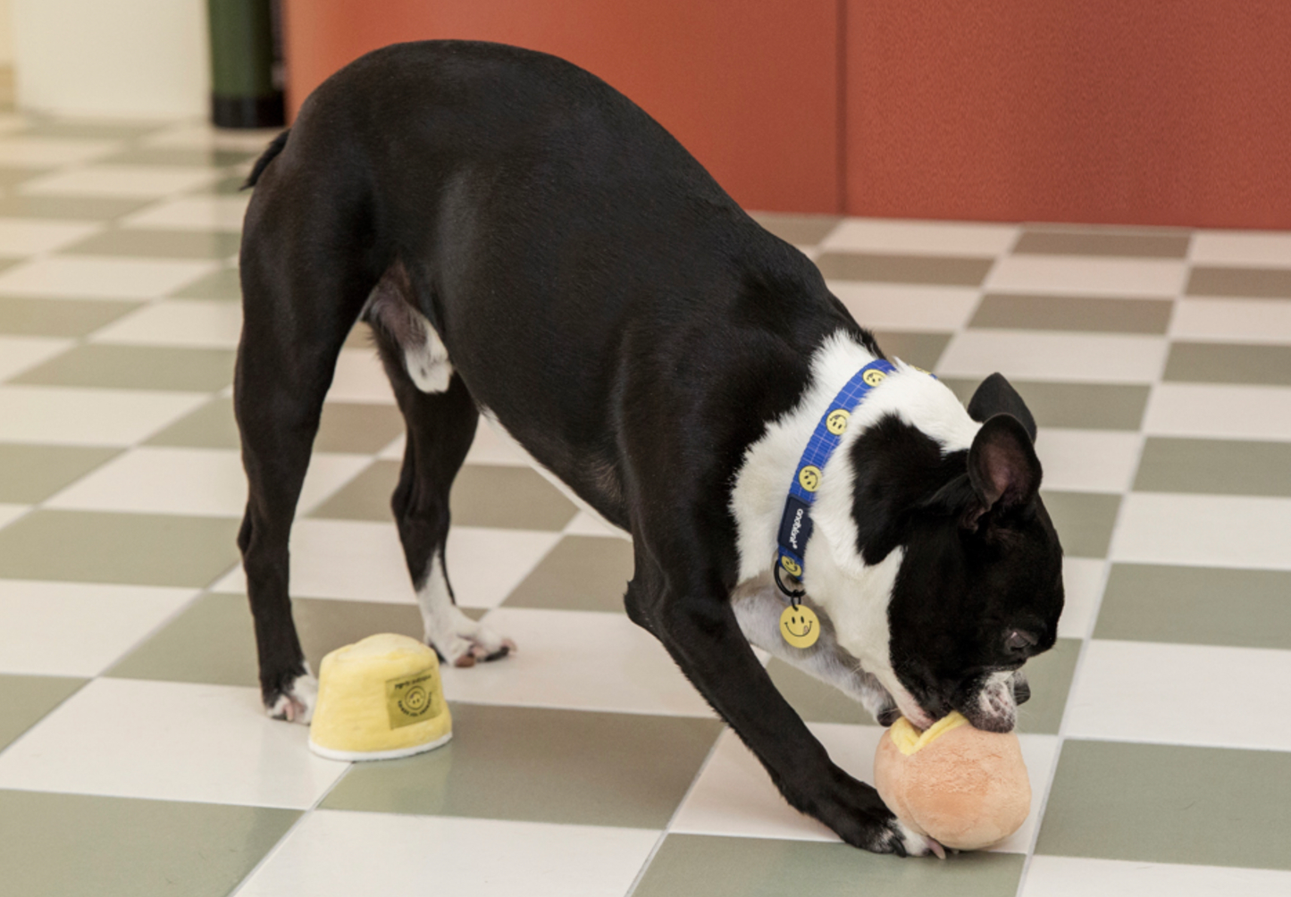 andblank® - [andblank® x Knotted] Donut Nosework Toy